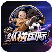 纵横国际
